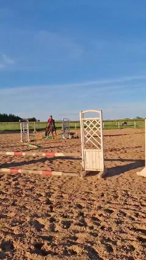 Hoppning hästar till salu: Trevlig C-ponny  - Video 5