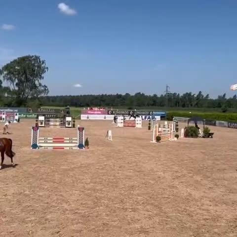 Hoppning hästar till salu: Lovande 5 åring i Blentarp - Video 1