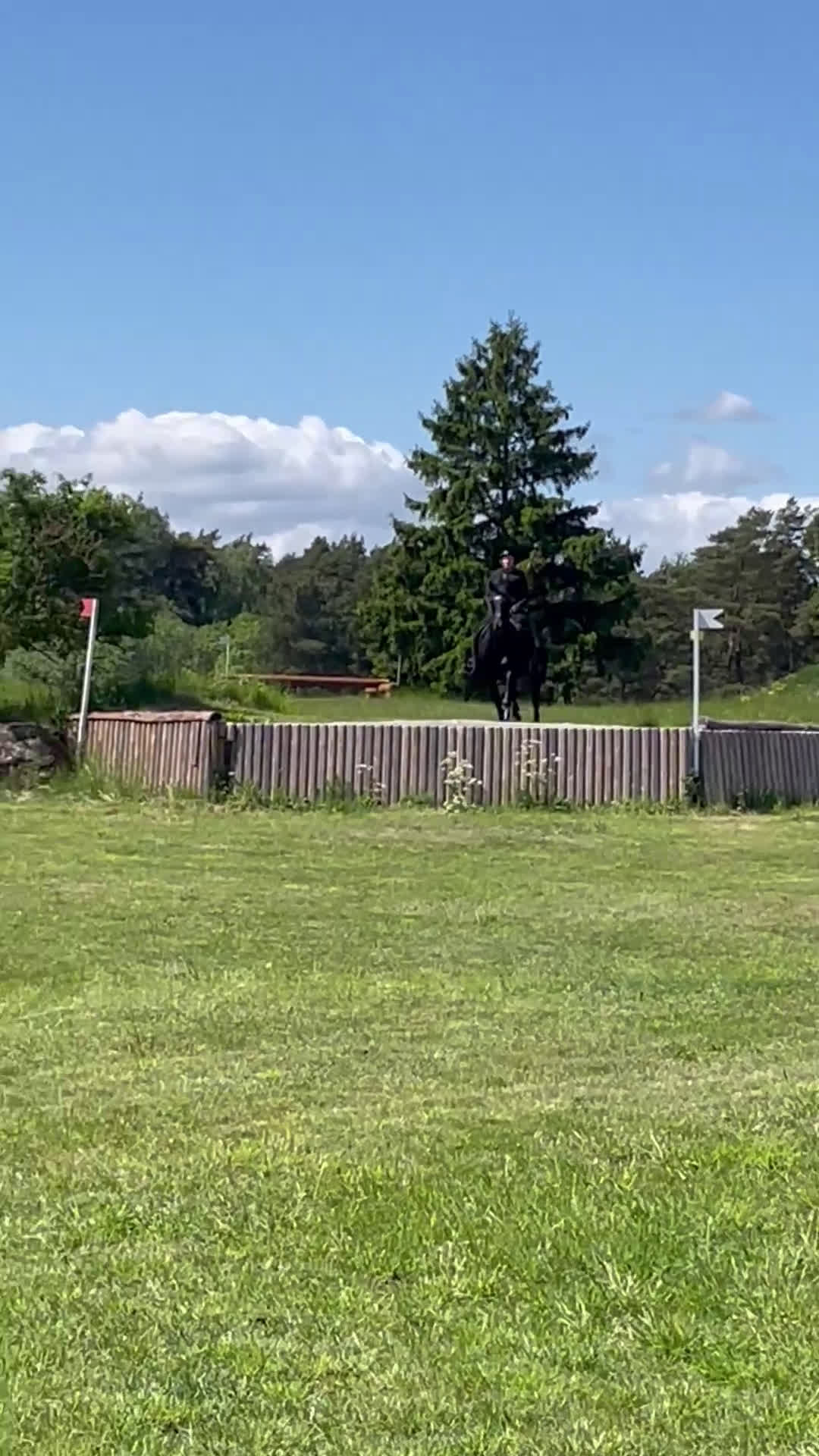 Fälttävlan hästar till salu: Fantastisk Fältävlansponny🌟 i Vetlanda - Video 2