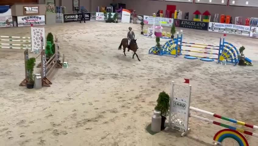Hoppning hästar till salu: Topp D ponny för de stora uppgifterna 🌟 - Video 2