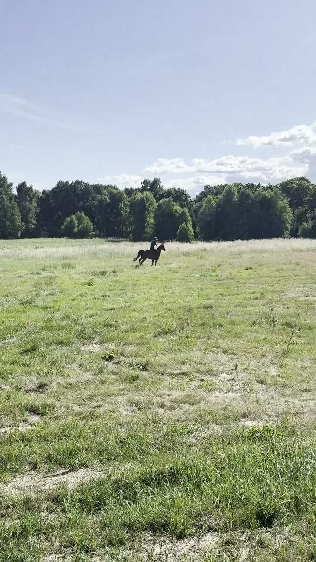 Allround hästar till salu: Älskad C-ponny söker nytt hem ❤️  i Kalmar - Video 4