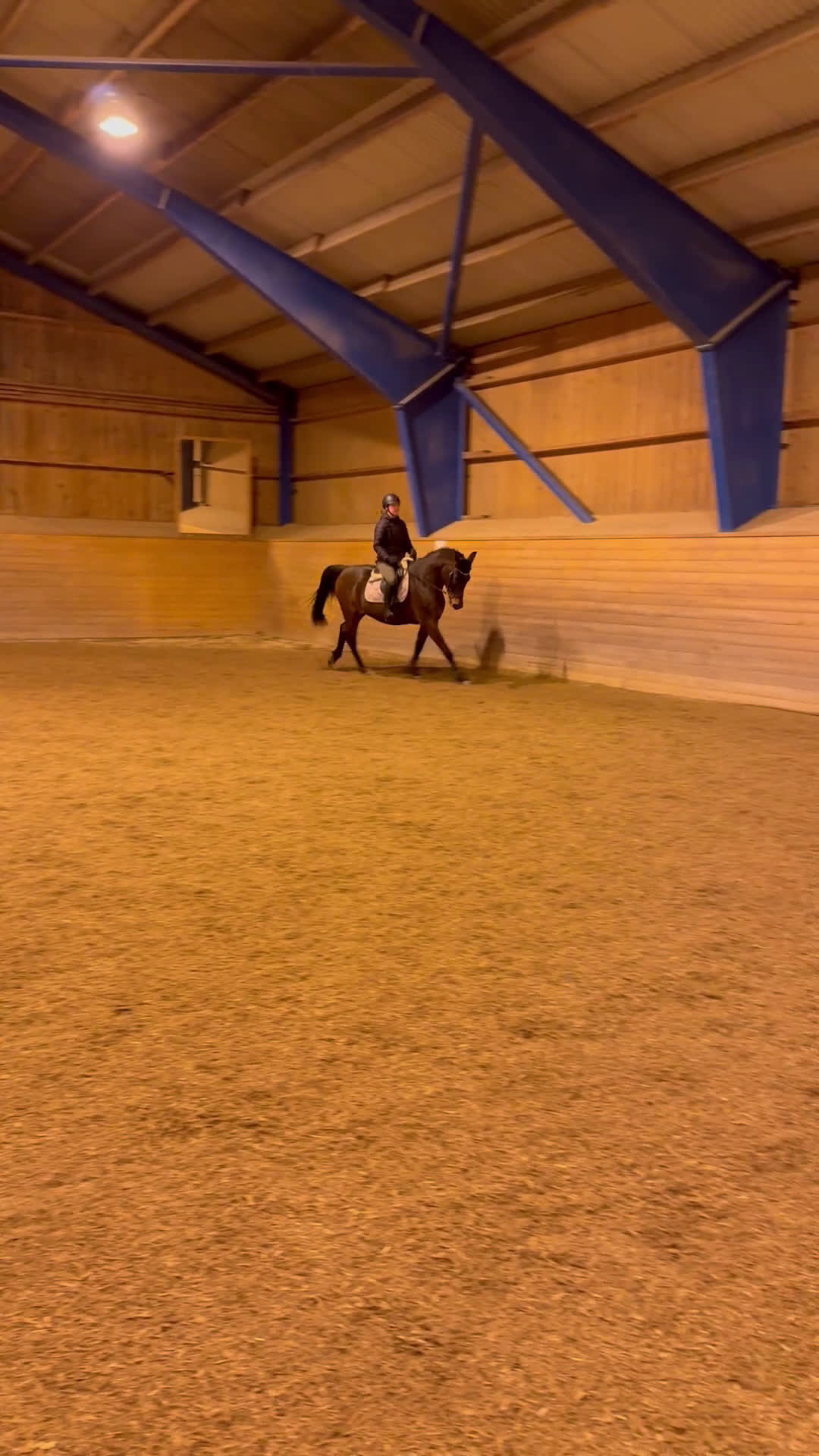 Allround hästar till salu: Trevlig Valack  i Nora - Video 3