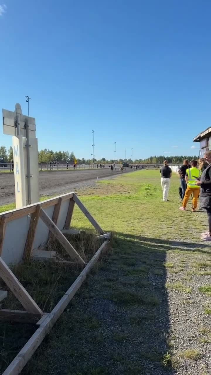 Trav hästar till salu: Fantastiskt Shetlandssto - Video 1