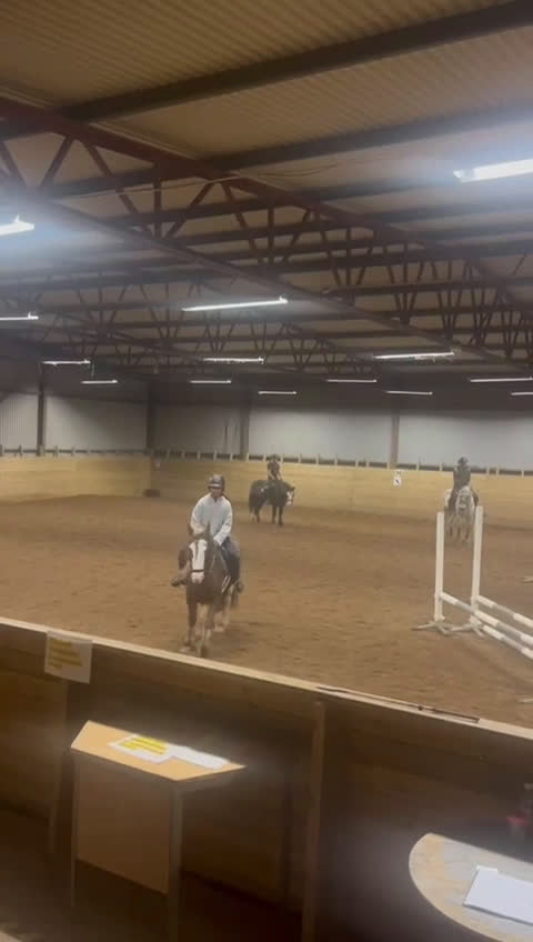  foderhäst sökes: Söker fodervärd ponny/häst i Jönköping - Video 1