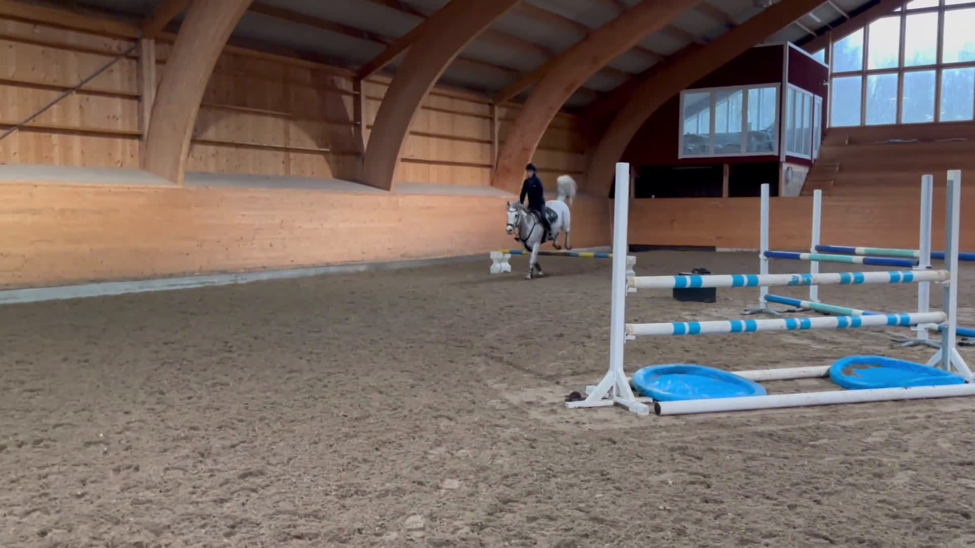 Hoppning hästar till salu: Charmig valack  i Örebro - Video 1