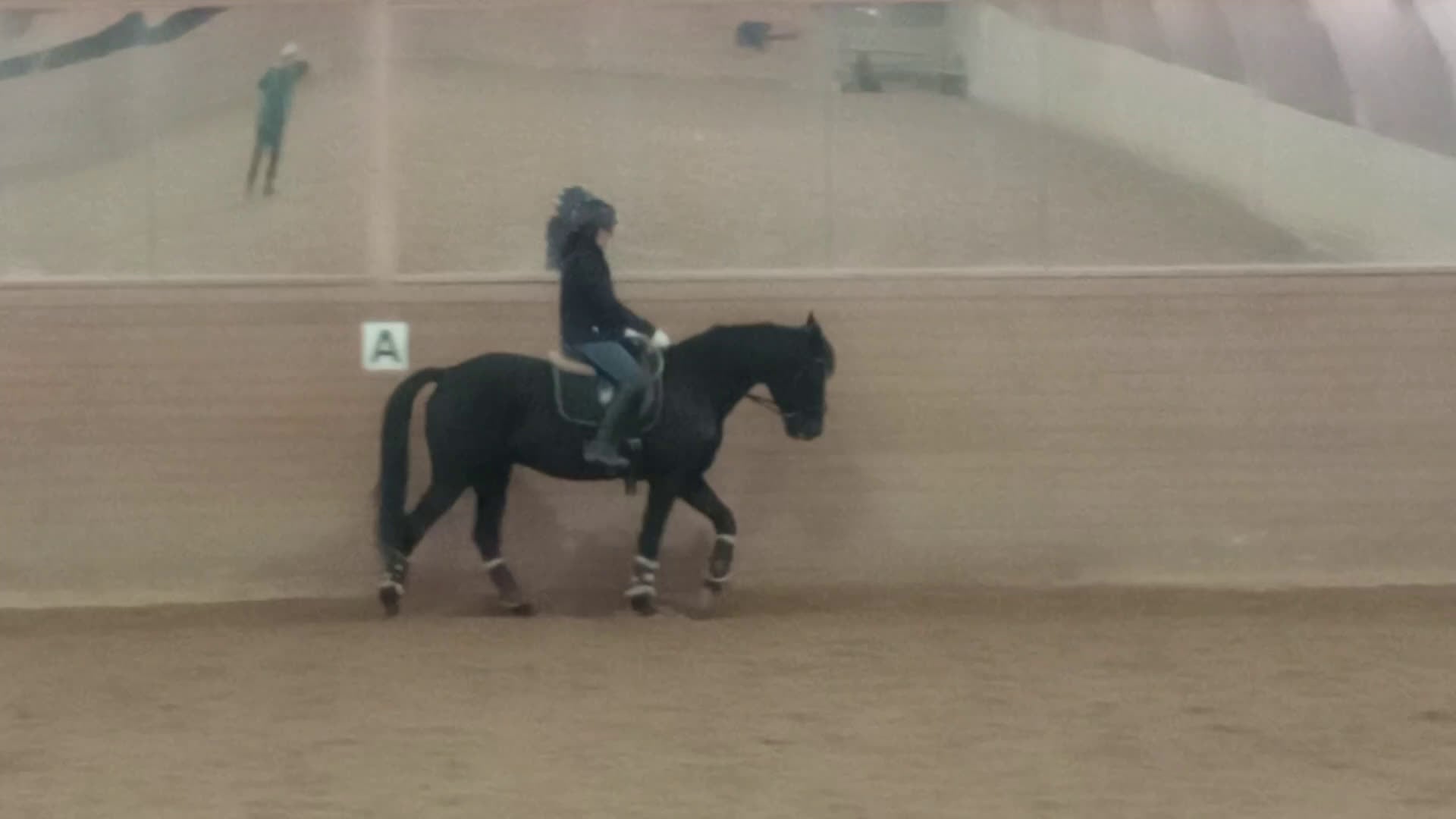 Allround hästar till salu: Superfin ridtravare - Video 2