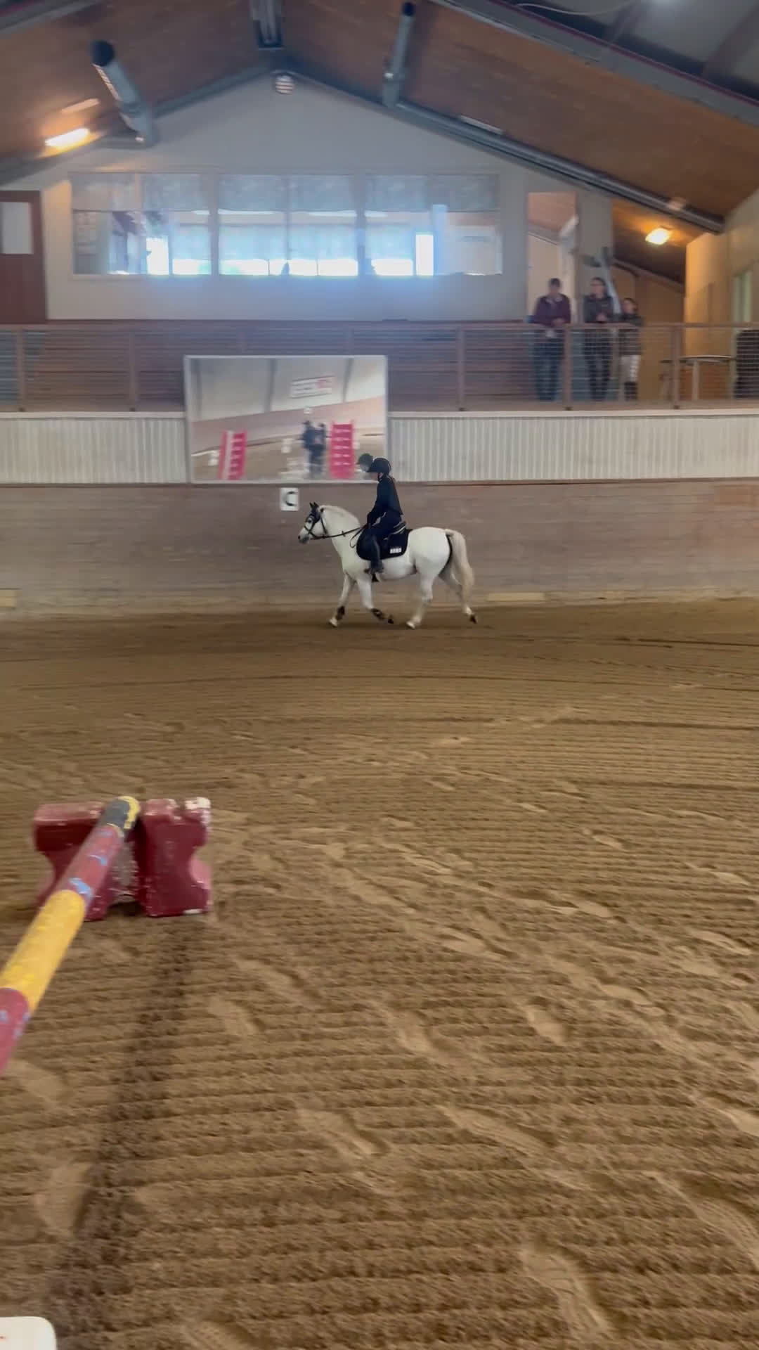 Allround hästar till salu: Finaste B-ponnyn🦄 i Lysekil - Video 2
