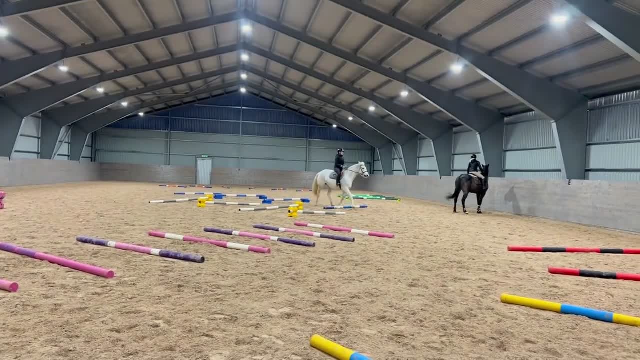 Allround hästar till salu: Blondie - Video 1