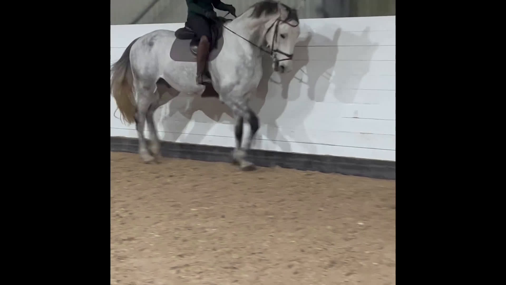 Dressyr hästar till salu: Trevlig stor valack med stort hjärta  🌟🦄  i Halmstad - Video 2