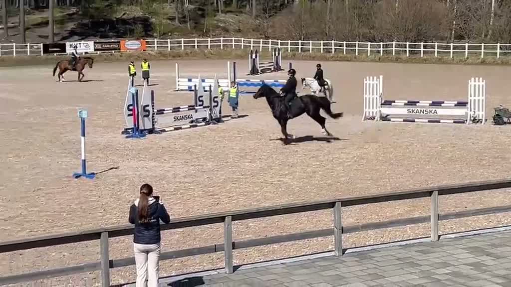 Hoppning hästar till salu: Häst med scoope  - Video 3