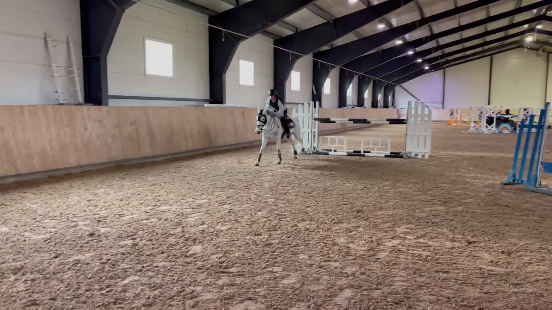 Hoppning hästar till salu: Tävlingsponny och bästa vän  i Norrköping - Video 5