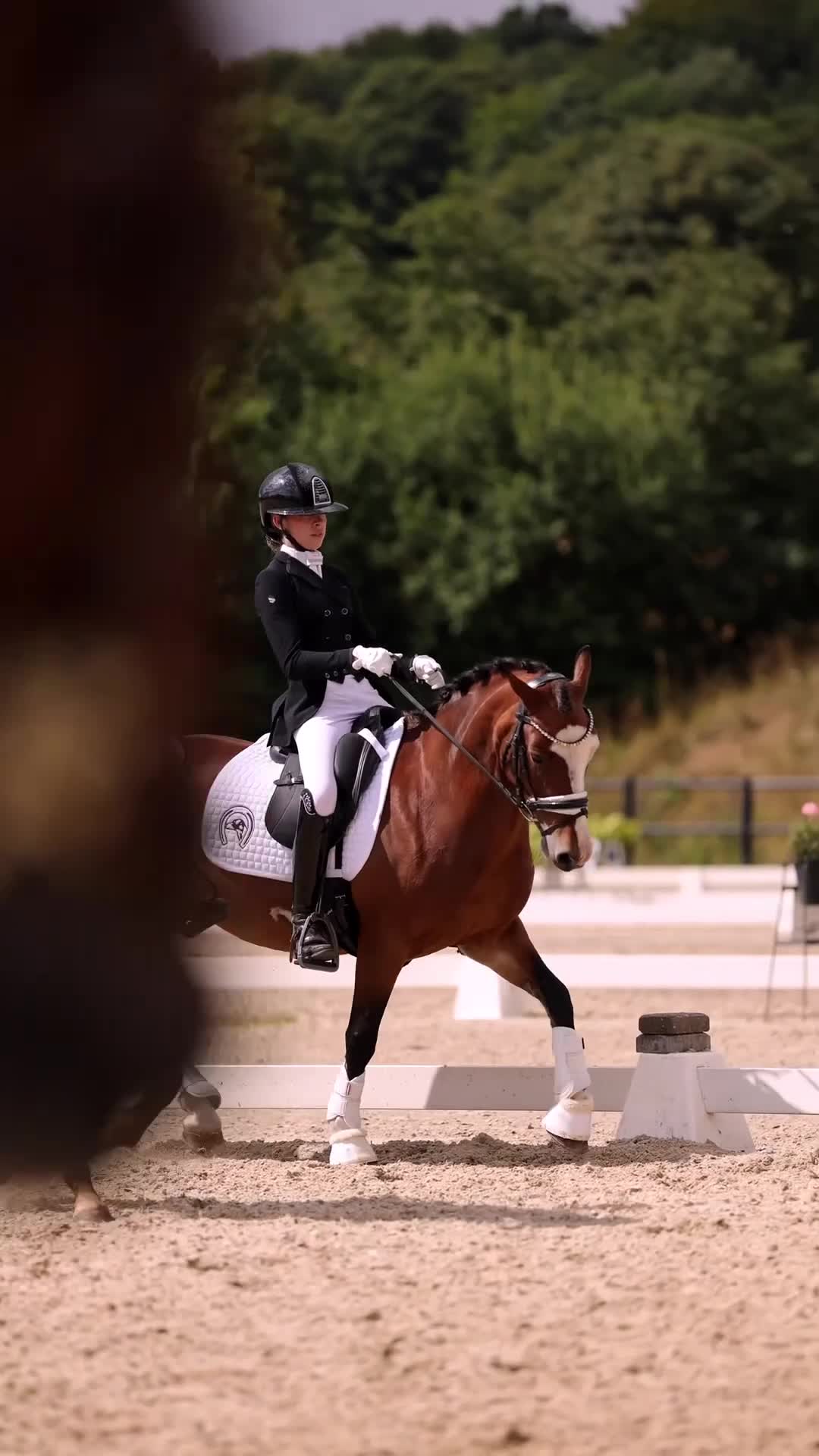 Dressyr hästar till salu: Schoolmaster fei pony - Video 1
