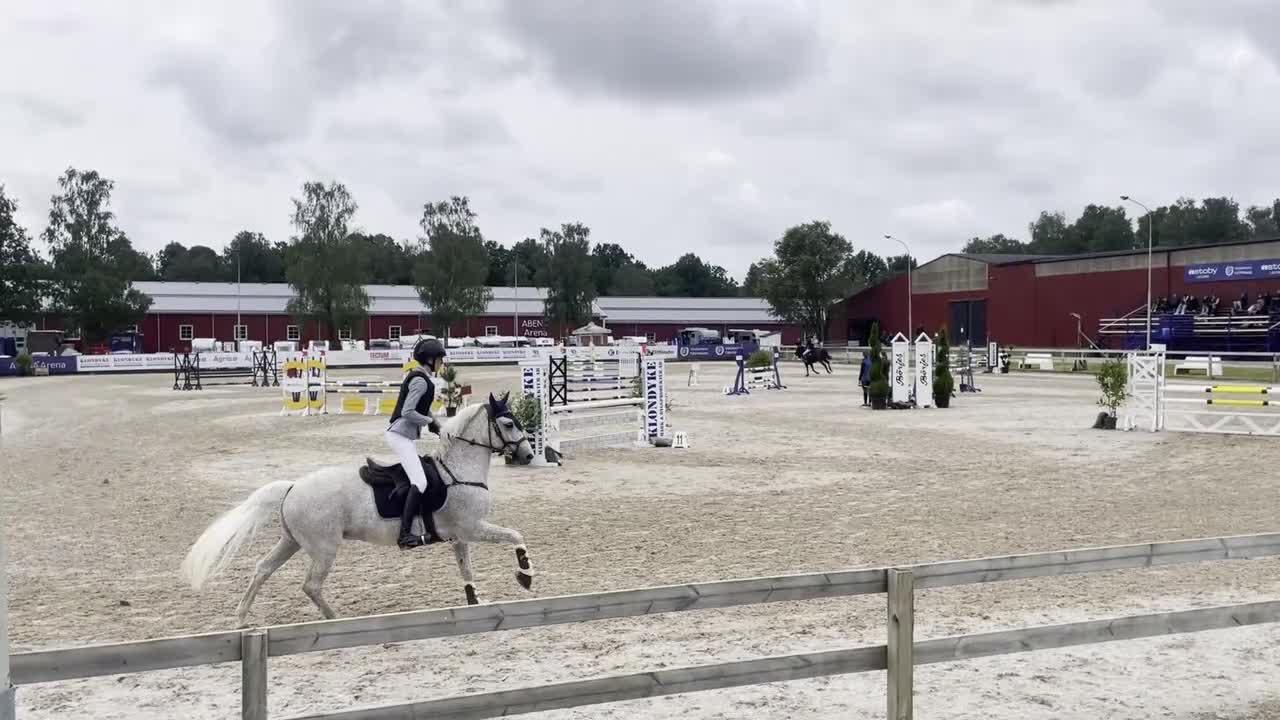 Hoppning hästar till salu: Snäll och rutinerad tävlingsponny - Video 1