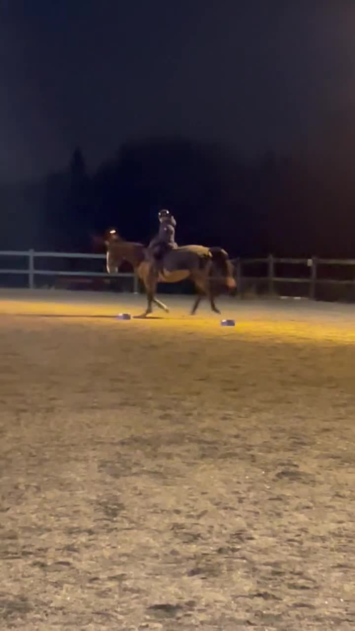  hästjobb finnes: Hästskötar jobb sökes  i Bollebygd - Video 1