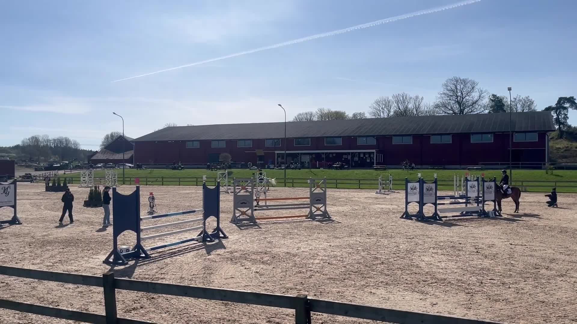 Allround hästar till salu: Fin tävlingsponny - Video 1