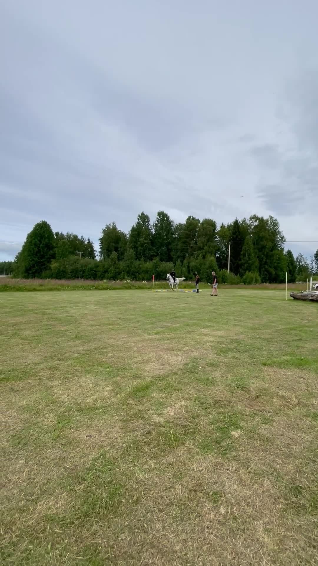 Allround hästar till salu: Hinderklok oslipad diamant 💎  i Luleå - Video 1