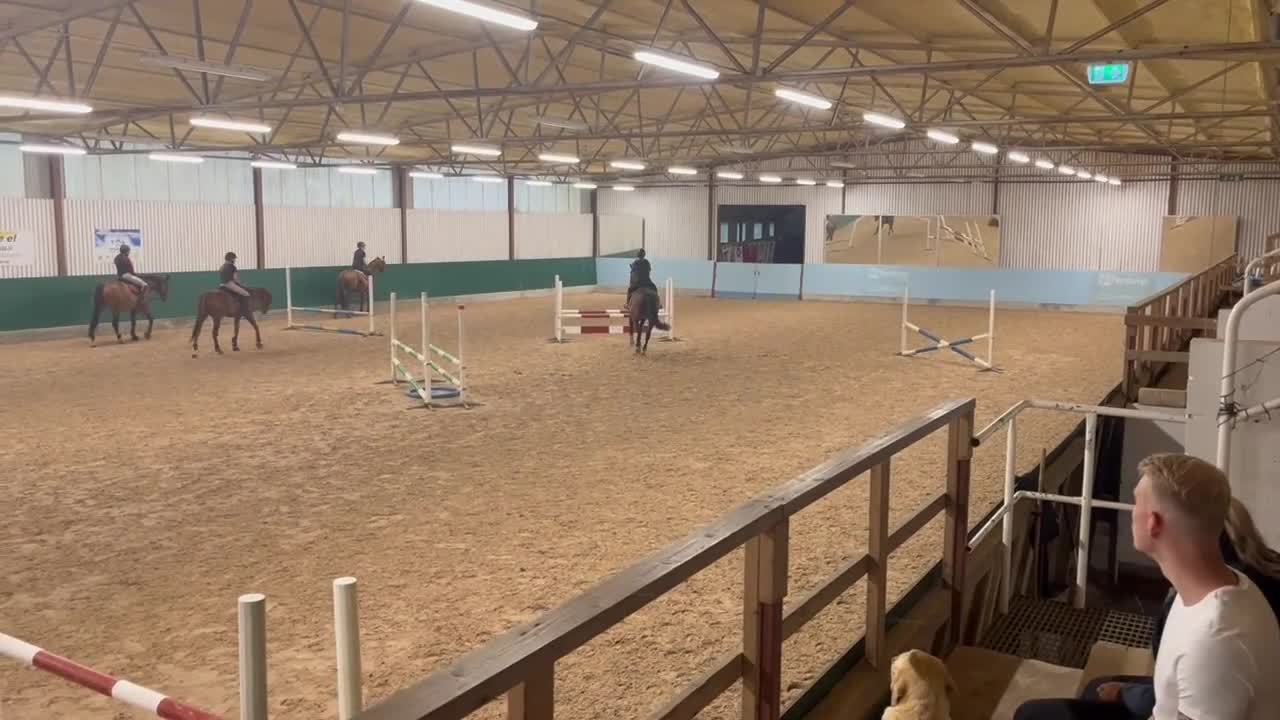 Allround hästar till salu: Trevlig SWB valack med stort hjärta.  - Video 3