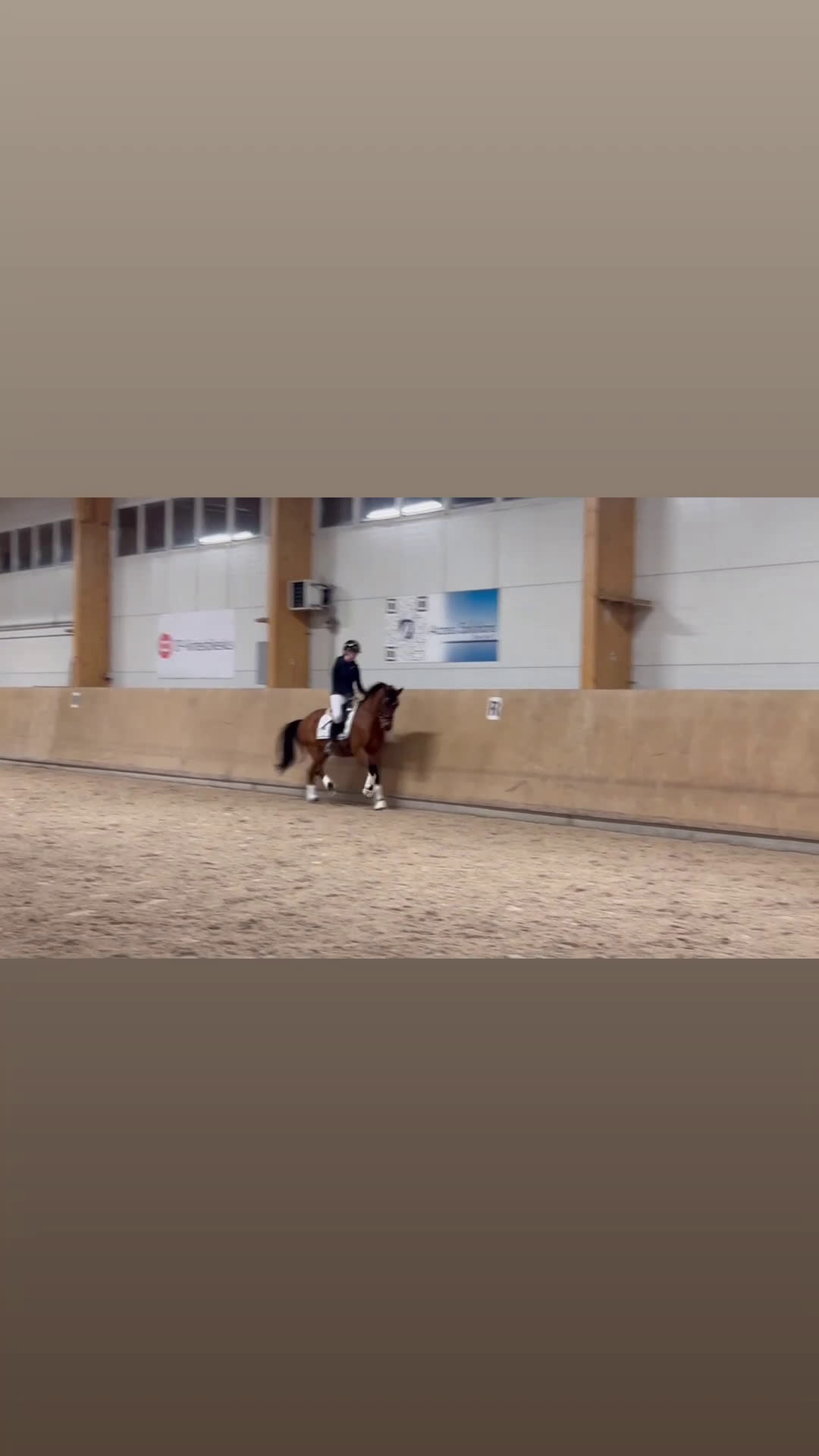 Dressyr hästar till salu: Fei pony for sale i Metsäkulma - Video 1