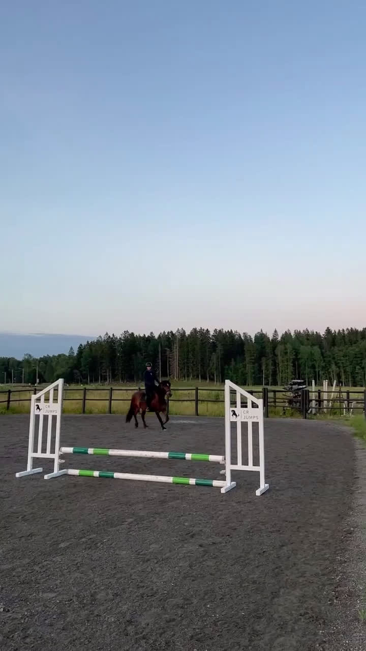 Allround hästar till salu: Omskolad kallblodstravare  i Karlskoga - Video 1