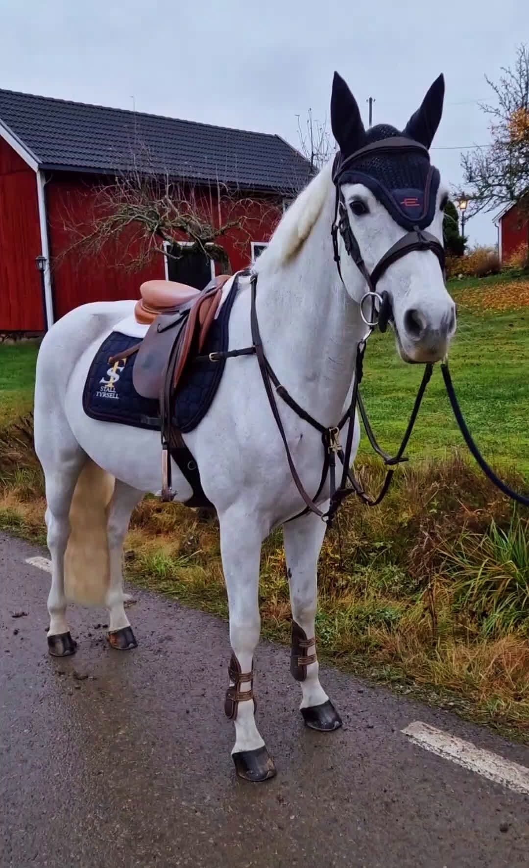 Hoppning hästar till salu: Fantastisk Läromästare  i Köping - Video 1