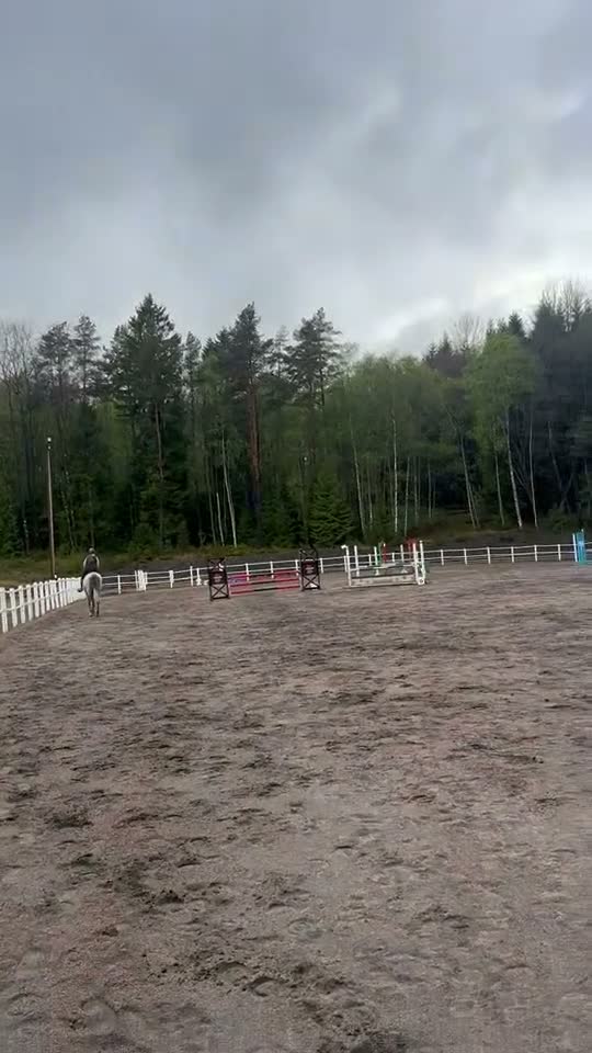 Hoppning hästar till salu: Lyxig hobbyhäst/Perfekt mor/dotter häst - Video 3