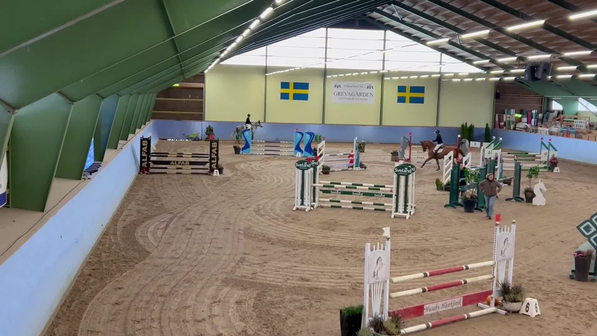 Hoppning hästar till salu: Superfint SWB sto med kapacitet - Video 3