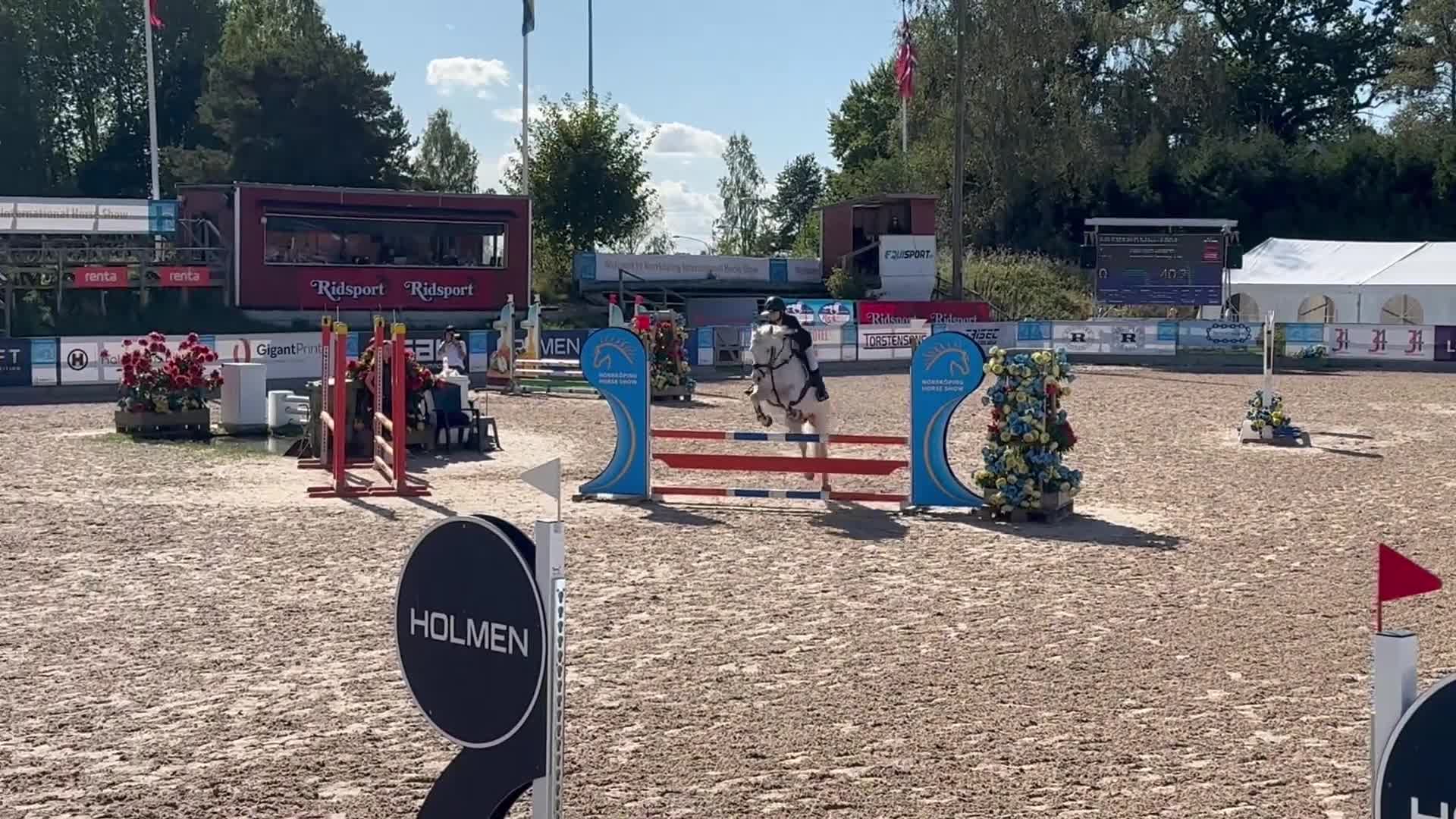 Hoppning hästar till salu: Ponny med kapacitet och hjärta - Video 3