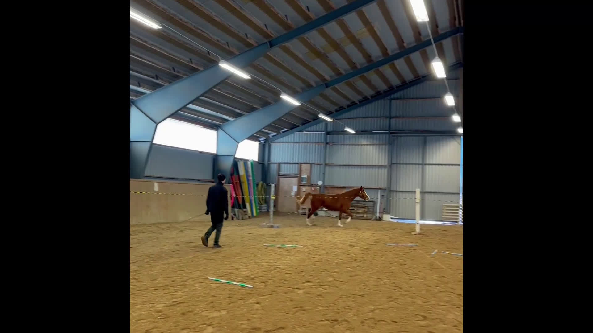 Hoppning hästar till salu: Vackert 3års sto i Bergsjö - Video 1