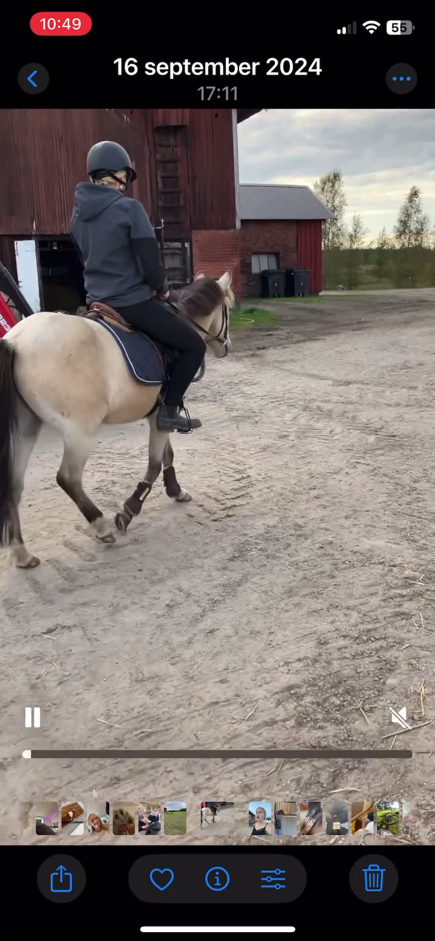 Allround hästar till salu: Bästa vän till salu - Video 1