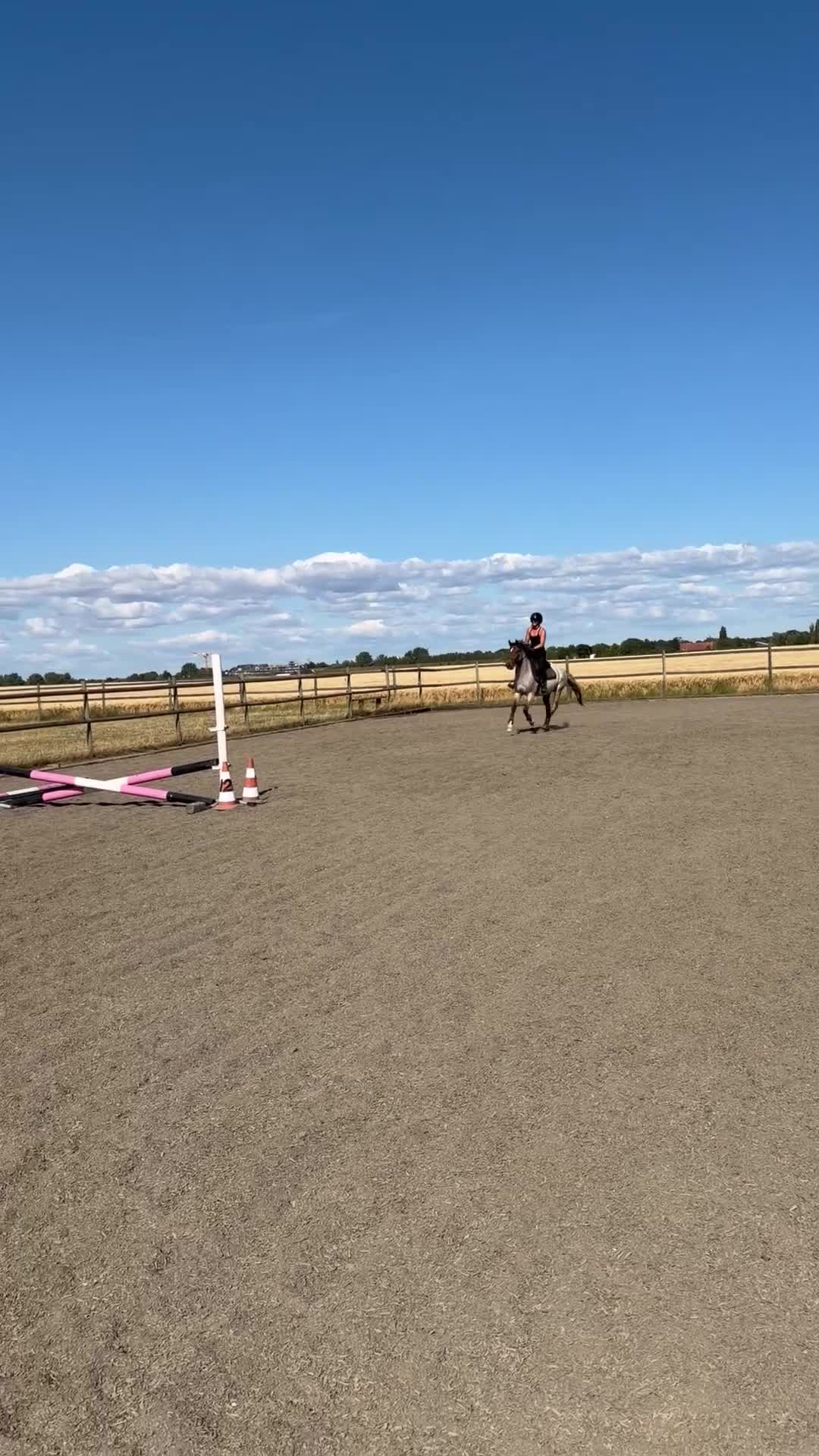 Allround hästar till salu: Lovande ungponny  - Video 1