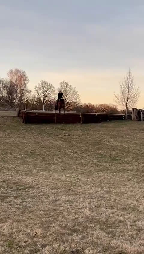 Fälttävlan hästar till salu: Fälttävlanshäst i Flyinge - Video 1