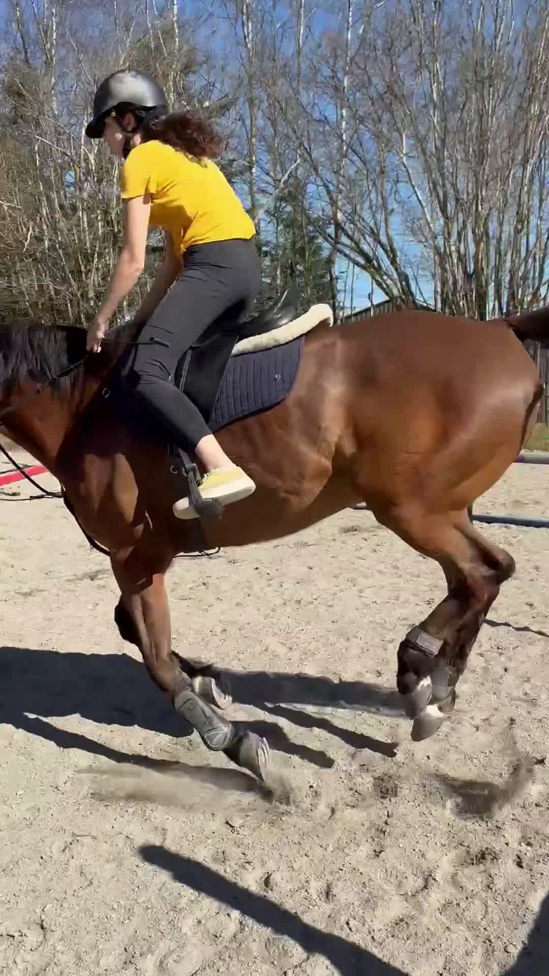 Allround hästar till salu: Snällaste killen söker nytt hem i Öjersjö - Video 1