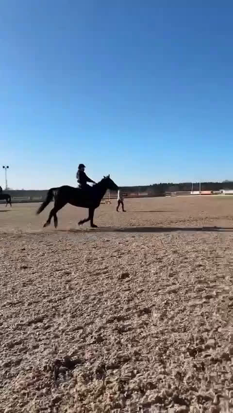 Allround hästar till salu: Sötaste Rosie  i Ankarsrum - Video 1