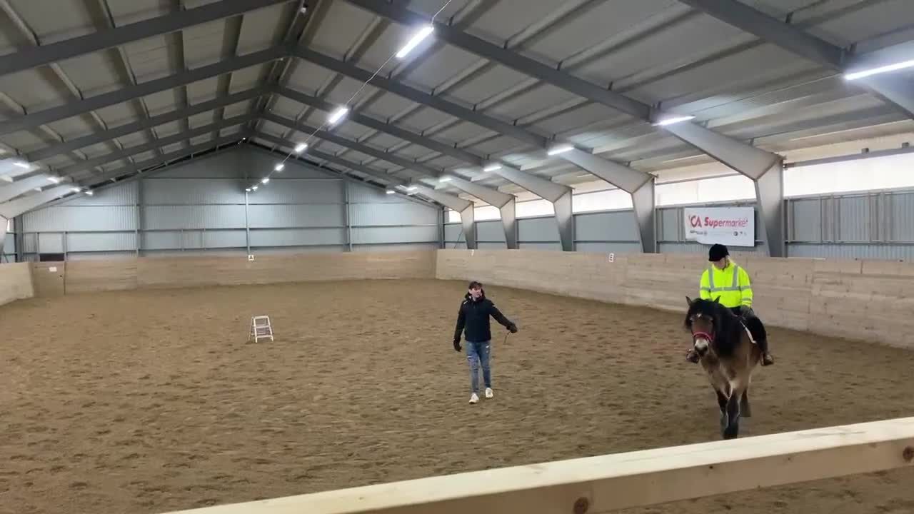 Allround hästar till salu: Trevligt sto till salu i Kopparberg - Video 2