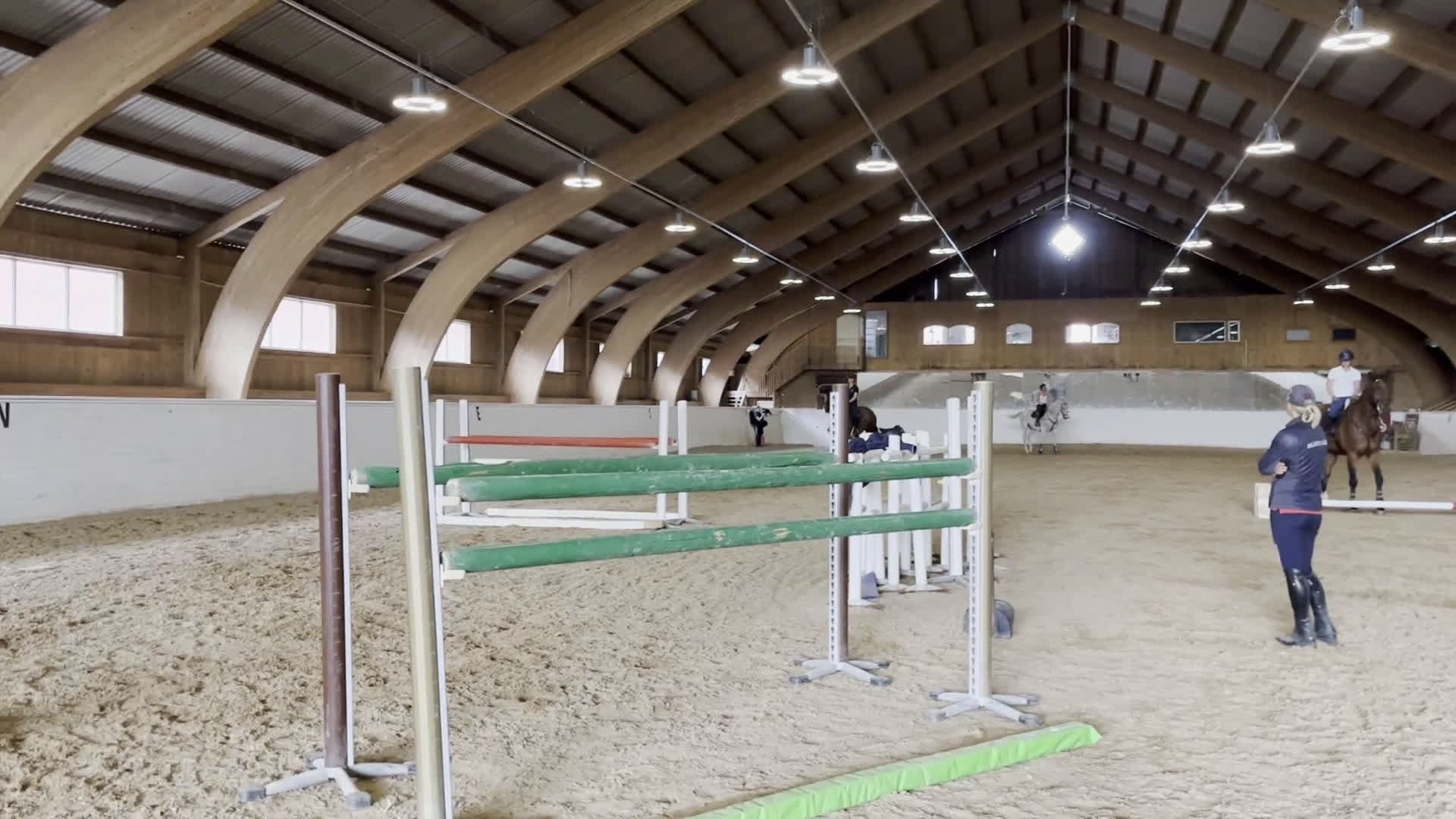 Avelshästar hästar till salu: Fantastiskt fint avelssto - Video 3