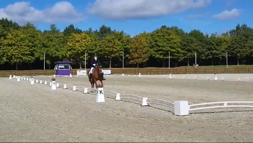 Dressyr hästar till salu: Dressyr Toppstam – rittbar, uttrycksfull, mekanisk i Helsinge kommun - Video 2