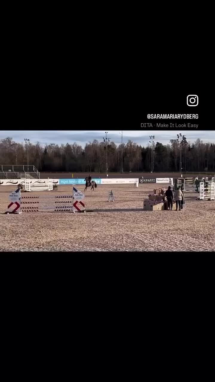Hoppning hästar till salu: En hjärtehäst (KWPN) perfekt läromästare - Video 1