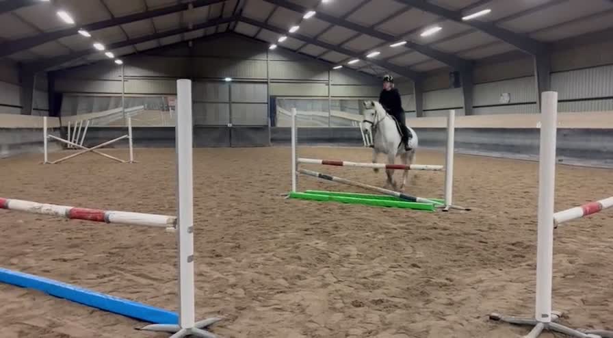 Dressyr hästar till salu: Powerponny med potential - Video 4