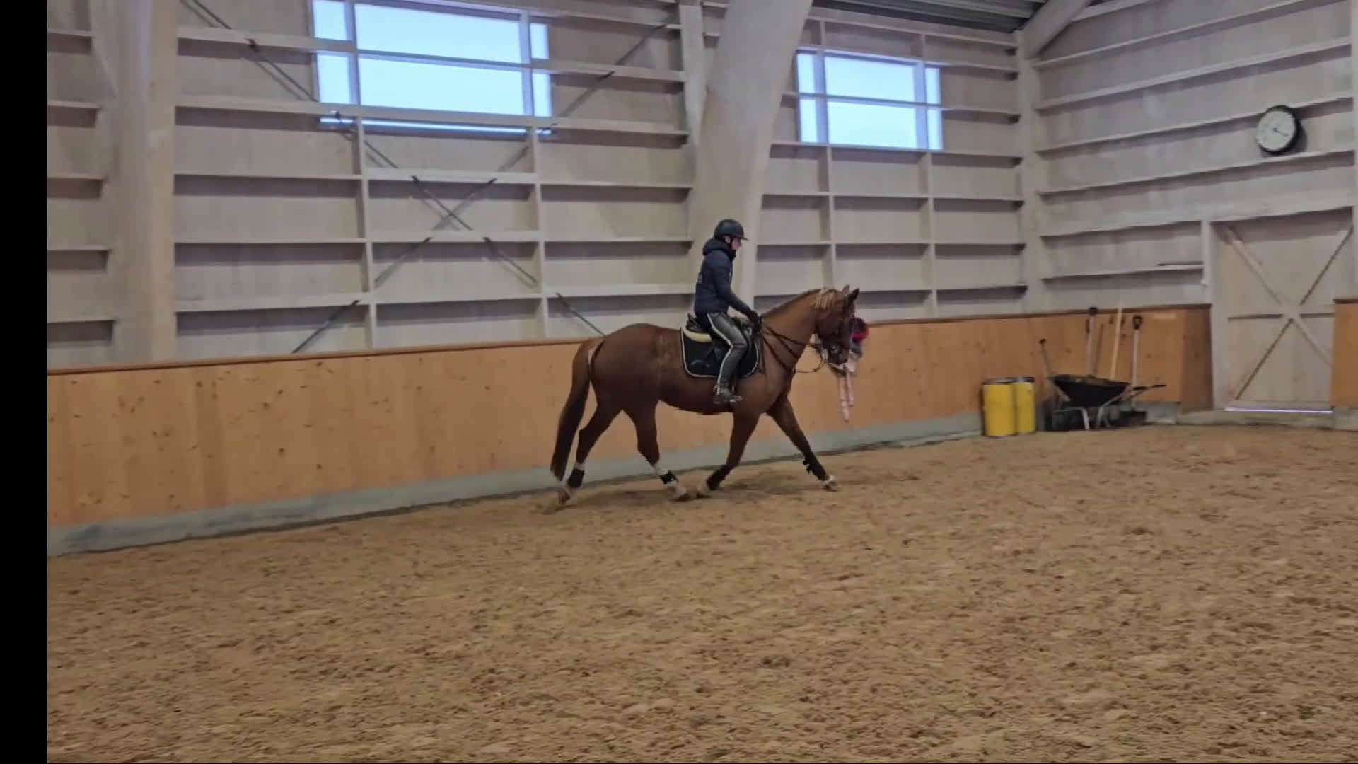 Allround hästar till salu: Underbart sto med lite humör. i Stora Skedvi - Video 1