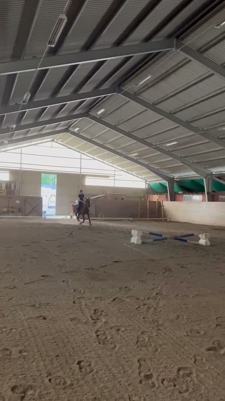 Allround hästar till salu: Drömponny i Molkom - Video 1