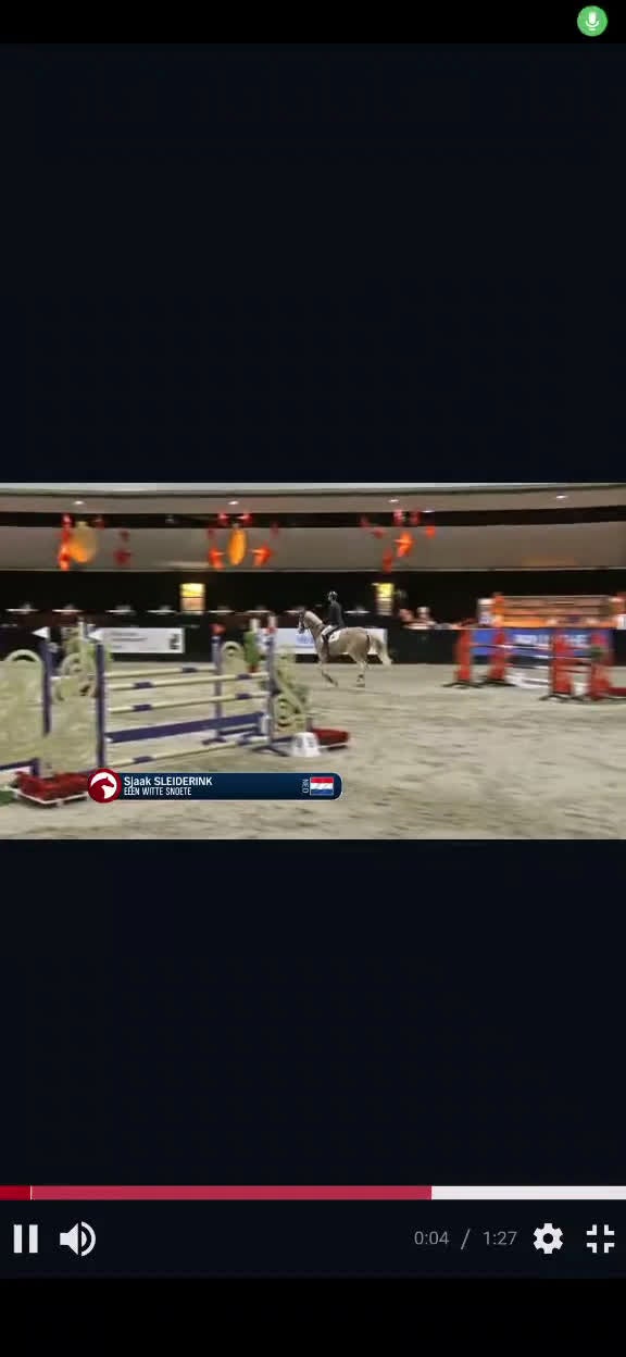 Avelshästar hästar till salu: Avelssto efter Zirocco Blue - Video 1