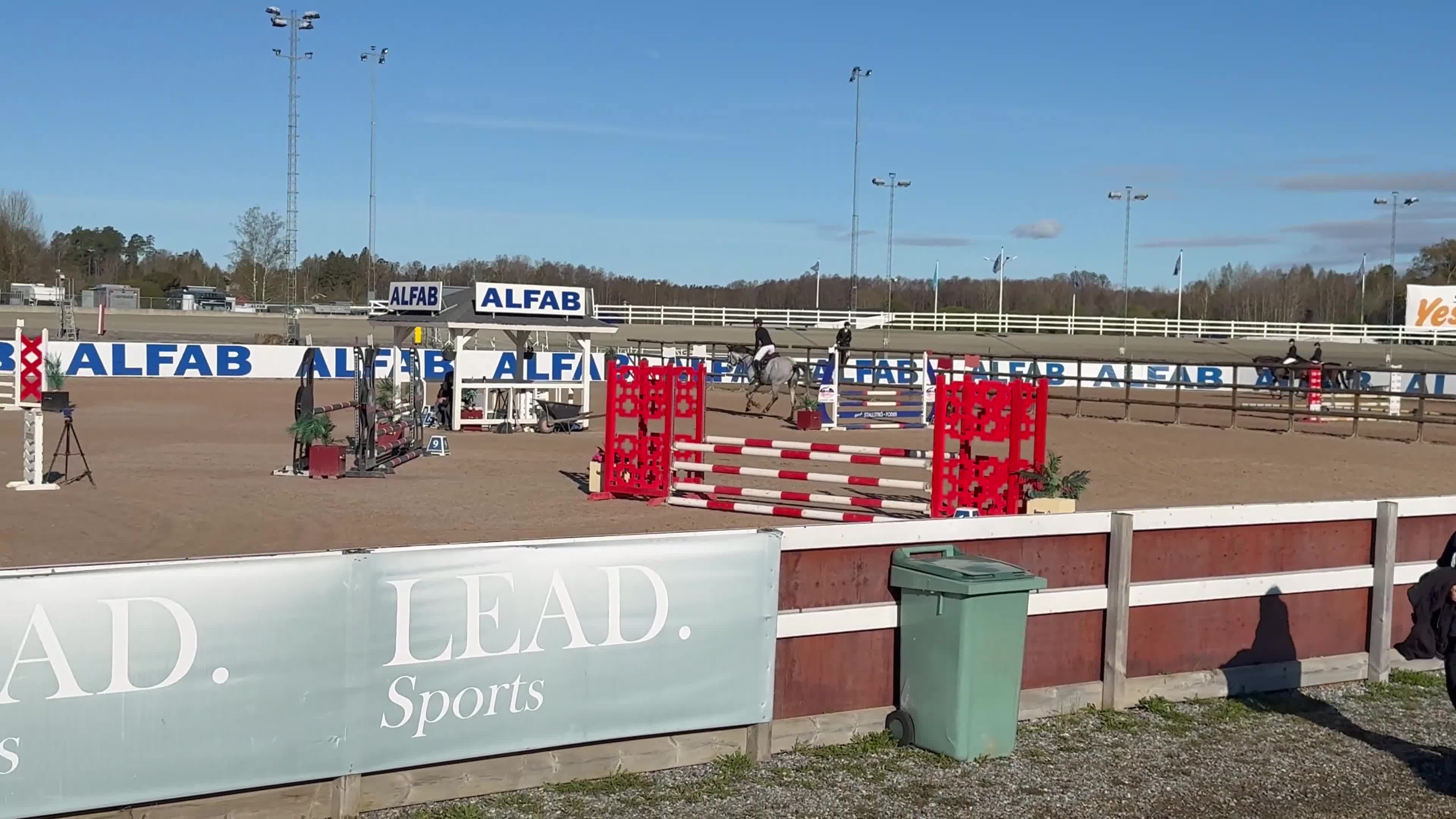 Hoppning hästar till salu: Fin unghäst! - Video 2