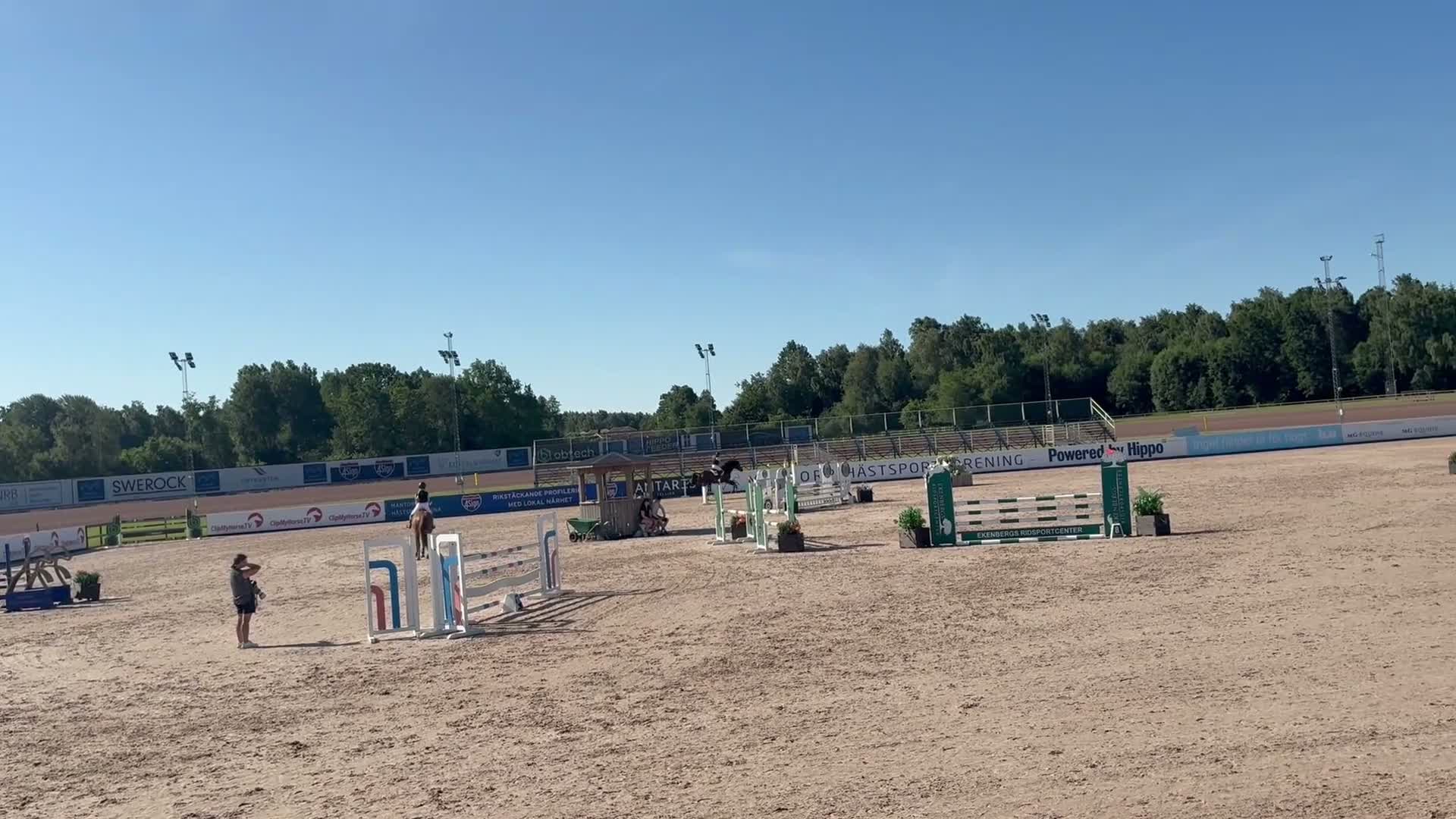 Allround hästar till salu: 5 åring valack  - Video 1