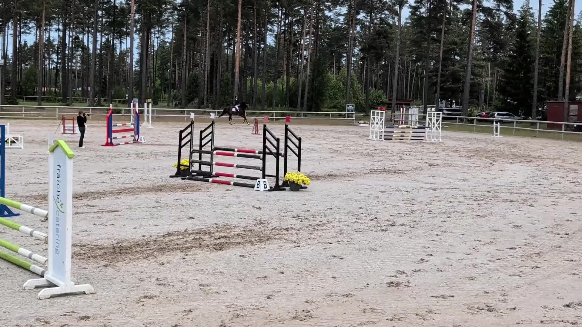 Allround hästar till salu: Talangfull 5-åring för hoppning eller fälttävlan - Video 2