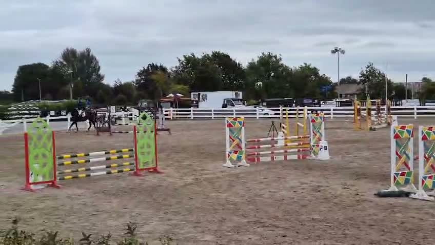 Hoppning hästar till salu: Schoolmaster - Video 1