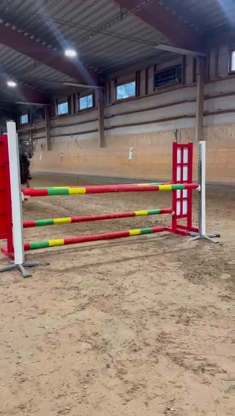 Fälttävlan hästar till salu: SM-placerad, meriterad Fälttävlansponny i Örsundsbro - Video 1