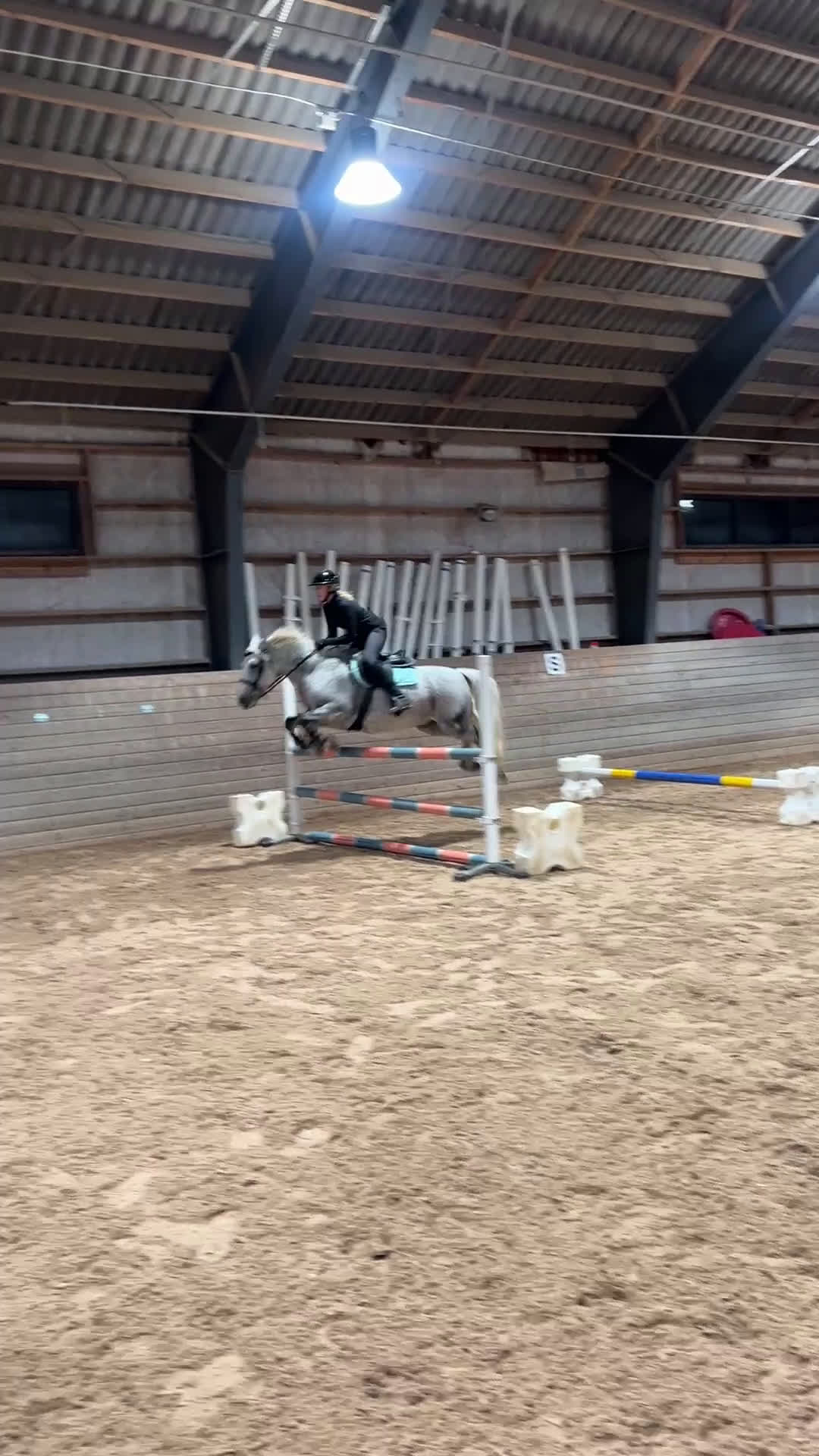 Hoppning hästar till salu: 🌟 Rosettplockande läromästare – Maxad C-ponny  i Huddinge - Video 3