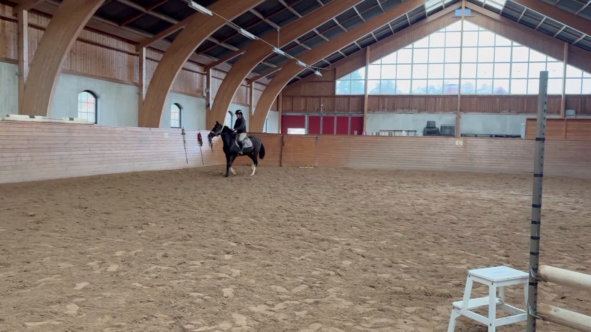 Hoppning hästar till salu: Härlig 2års-valack i Tjällmo - Video 1