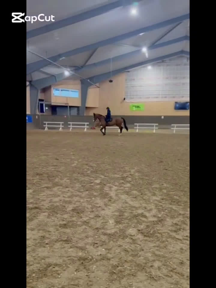 Allround hästar till salu: Underbar kille säljes i Alvesta - Video 1