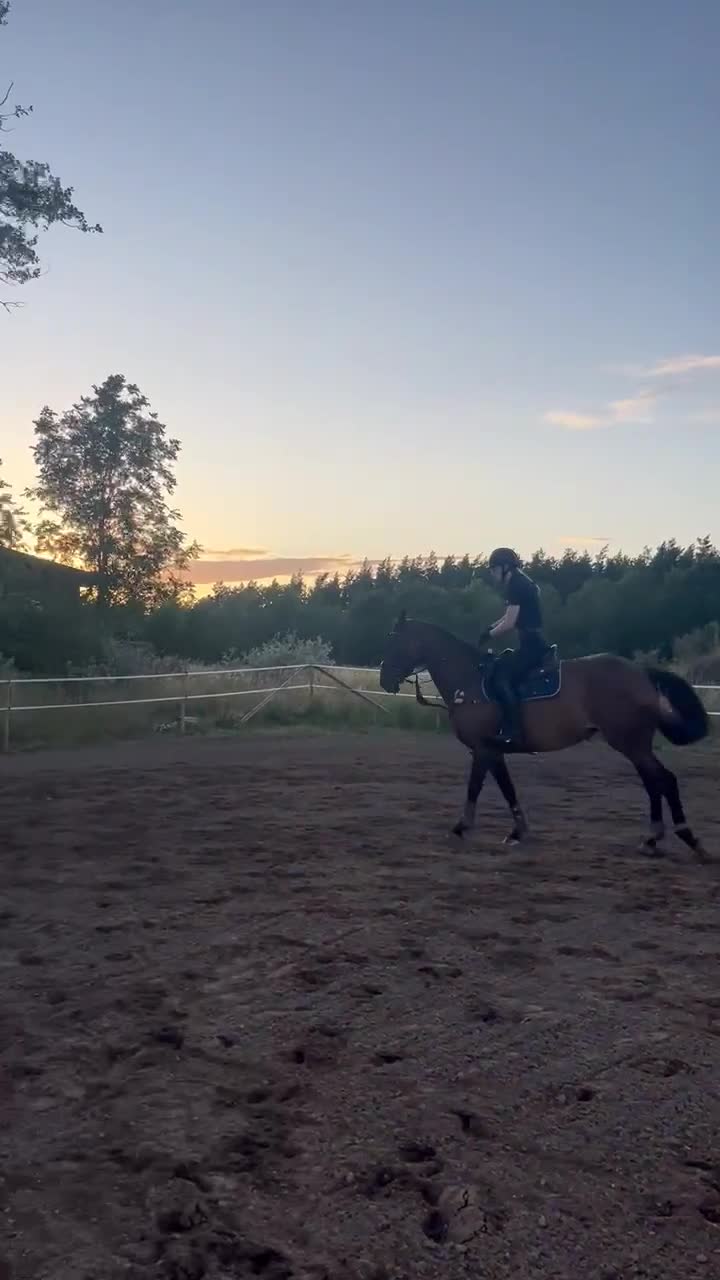 Allround hästar till salu: Sto med personlighet!:) i Visby - Video 1